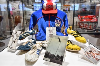Florida Sports Hall of Fame Display Case with memorabilia.jpg